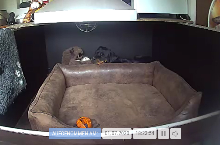 hi hi :) WO ist der Hund :-)