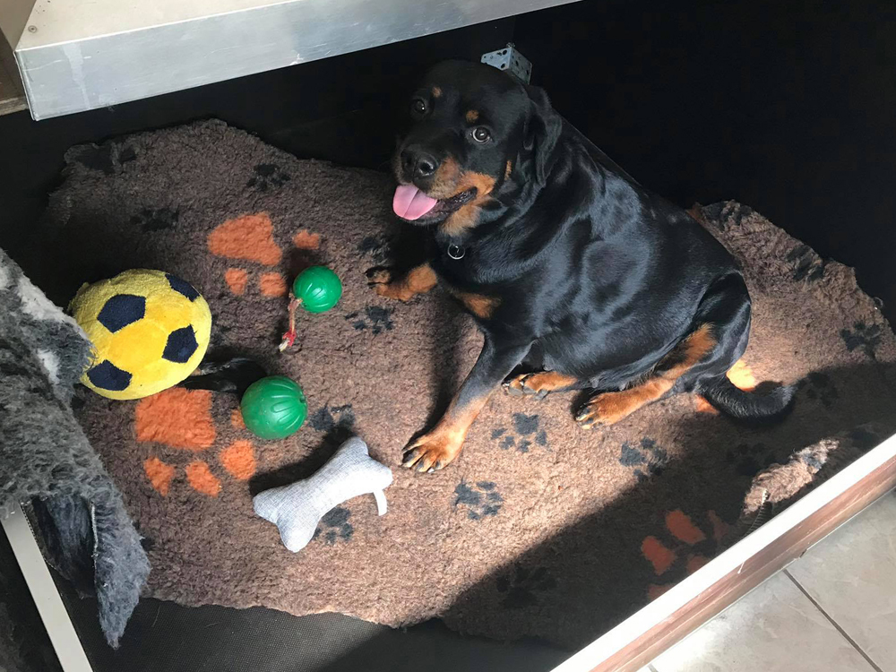 wird Zeit das die Zwerge aussteigen :-)