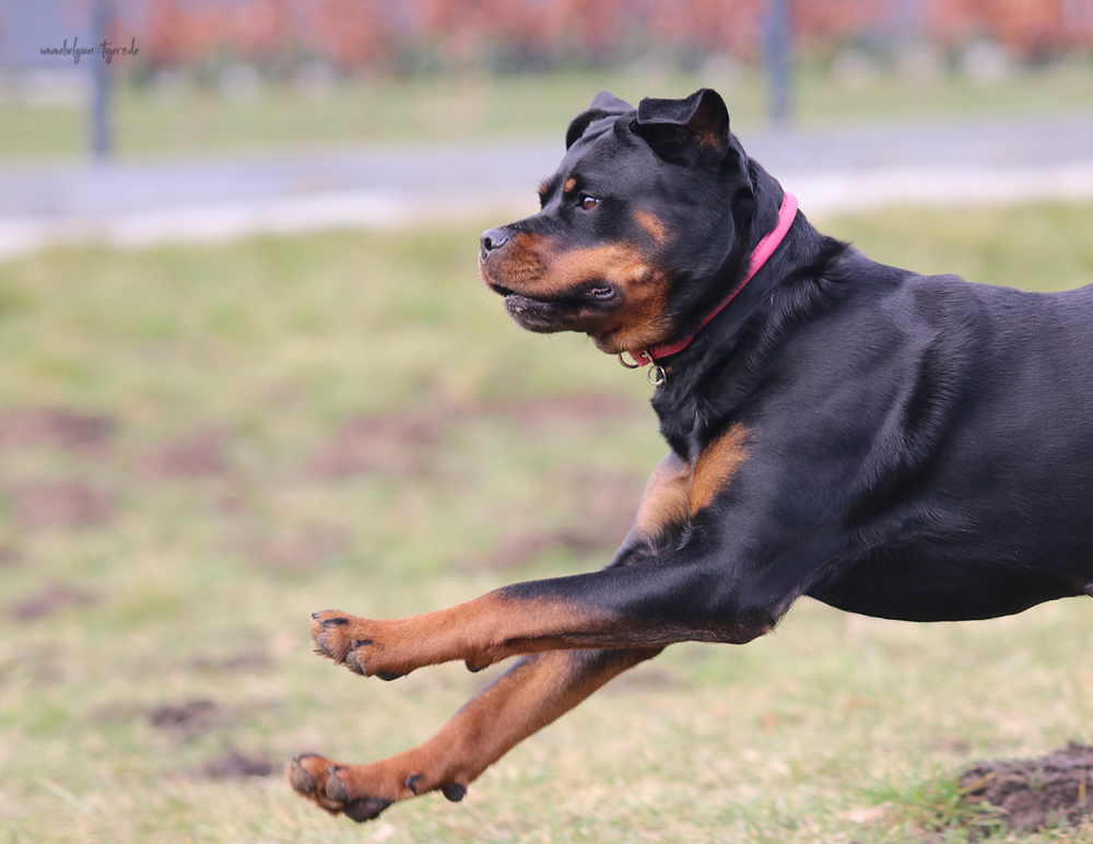 gute Laune angesagt :-) 