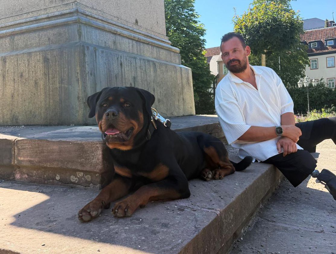 Belgian Tigers King