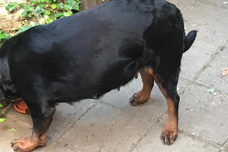 wo soll das denn noch hinführen :-)