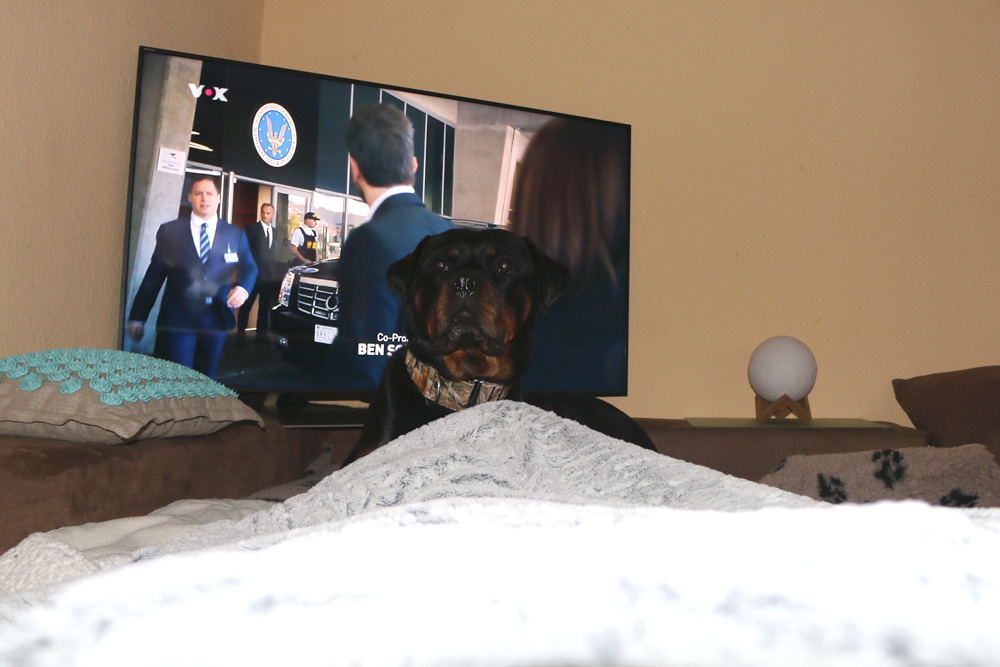 Sie weiß genau, wie man etwas mehr Beachtung findet :-) 