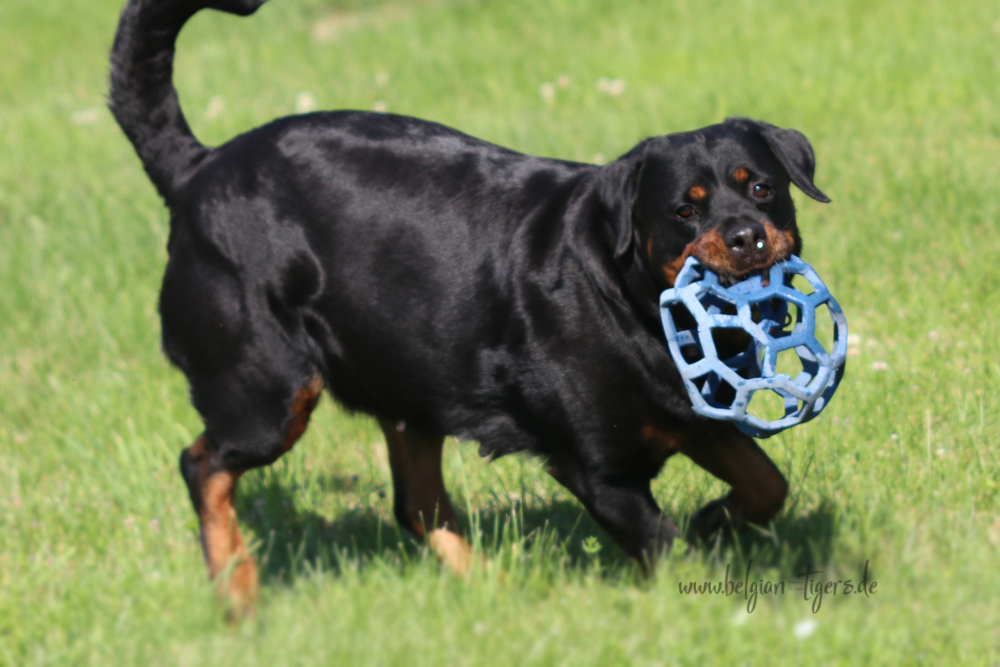 spielen geht noch :-)