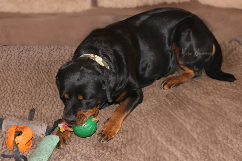 Babyyyyyyyyybauch :-)