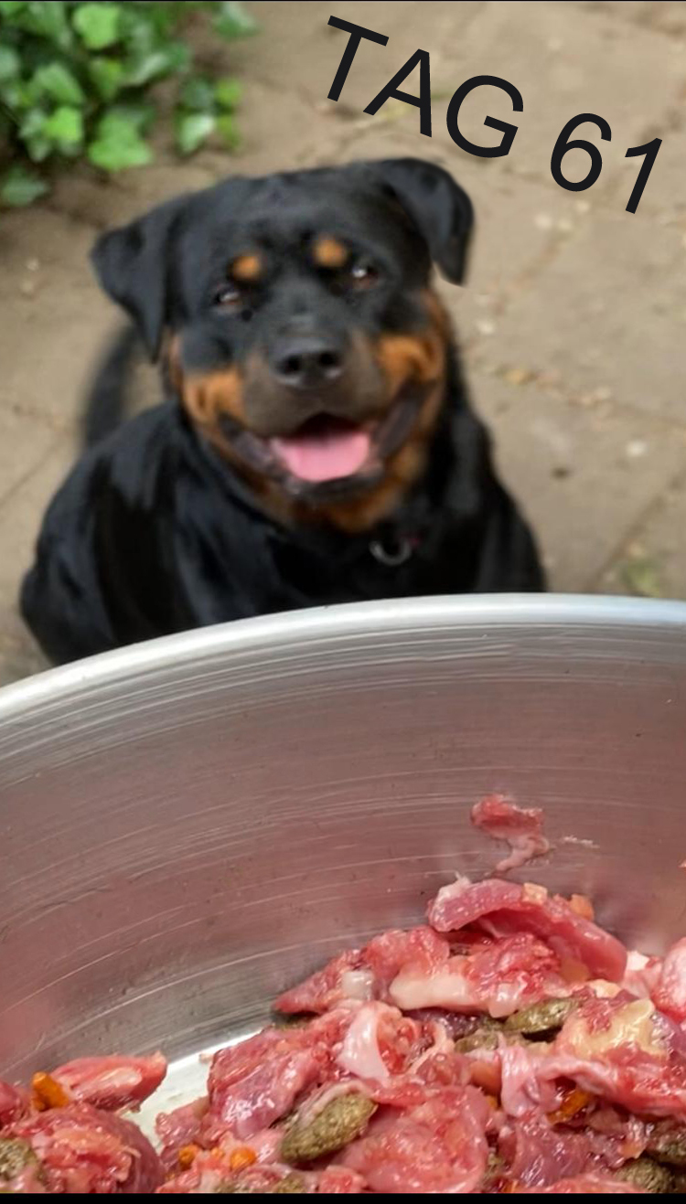 Futter schmeckt noch :-) 