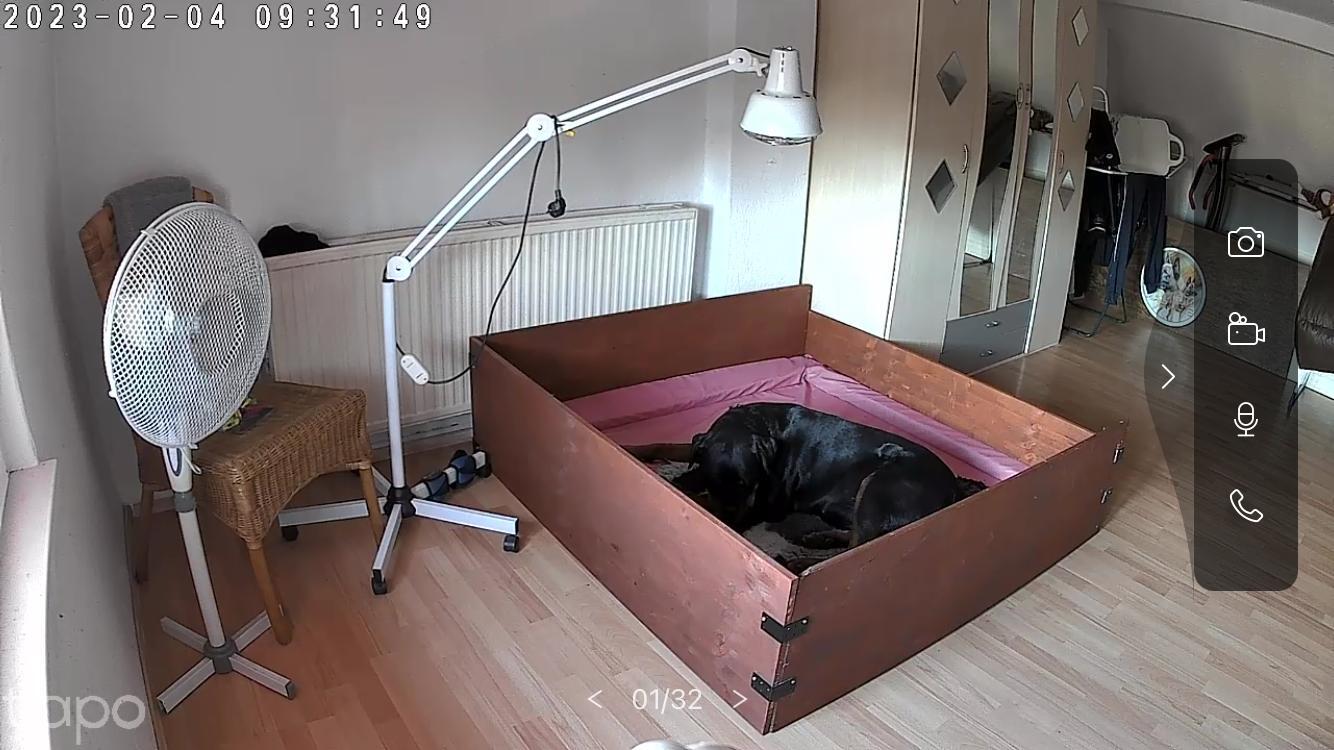 Endlich entspannt sie in der Kiste